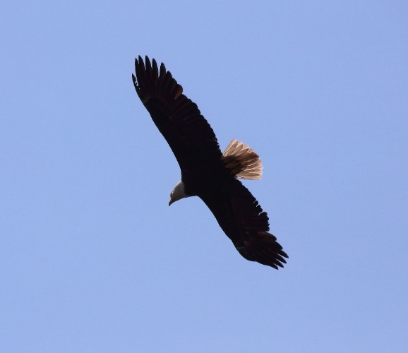 2019 05 08 HTP 90368e